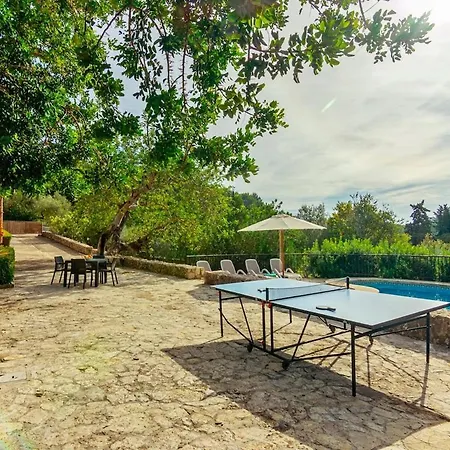 Miquel, In Pollença